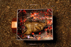 outdoor rotisserie